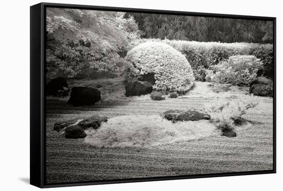 San Francisco Garden II-George Johnson-Framed Stretched Canvas