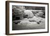 San Francisco Garden II-George Johnson-Framed Photographic Print