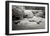 San Francisco Garden II-George Johnson-Framed Photographic Print