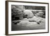 San Francisco Garden II-George Johnson-Framed Photographic Print