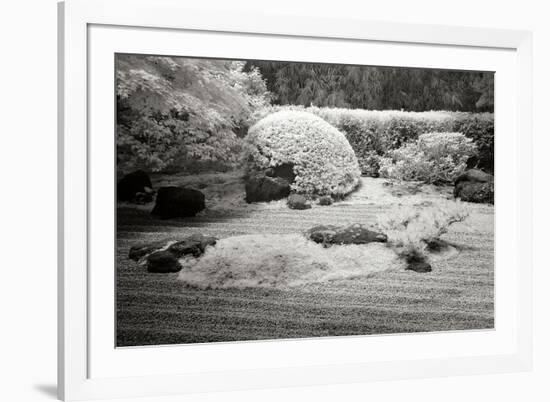 San Francisco Garden II-George Johnson-Framed Photographic Print