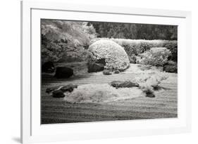 San Francisco Garden II-George Johnson-Framed Photographic Print