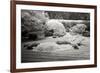 San Francisco Garden II-George Johnson-Framed Photographic Print