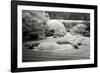 San Francisco Garden II-George Johnson-Framed Photographic Print