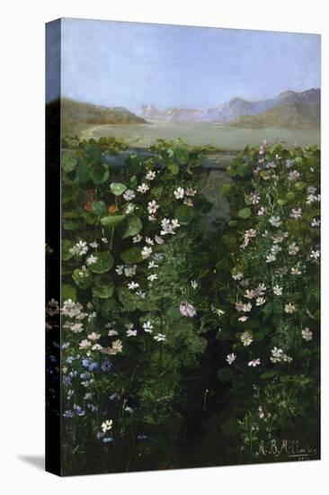 San Francisco Garden-Alberta Binford McCloskey-Stretched Canvas