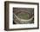 San Francisco Giants Candlestick Park Final Day Sept 30, c.1999 Sports-Mike Smith-Framed Art Print