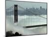 San Francisco Golden Gate Bridge-Paul Sakuma-Mounted Photographic Print