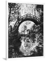 San Francisco Golden Gate Park-null-Framed Photographic Print