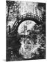 San Francisco Golden Gate Park-null-Mounted Photographic Print