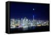 San Francisco Holiday Cityscape and Crescent Moon-Vincent James-Framed Stretched Canvas