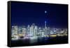 San Francisco Holiday Cityscape and Crescent Moon-Vincent James-Framed Stretched Canvas