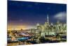 San Francisco Holiday Lights-Dave Gordon-Mounted Art Print