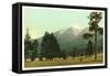 San Francisco Mountains, Arizona-null-Framed Stretched Canvas
