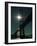 San Francisco New Year Weather-null-Framed Photographic Print