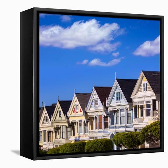 San Francisco Painted Ladies Victorian Houses in Alamo Square at California USA-holbox-Framed Stretched Canvas