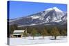 San Francisco Peak, Flagstaff, Arizona, United States of America, North America-Richard Cummins-Stretched Canvas