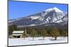 San Francisco Peak, Flagstaff, Arizona, United States of America, North America-Richard Cummins-Mounted Photographic Print