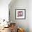 San Francisco Print-Julie Goonan-Framed Giclee Print displayed on a wall