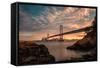 San Francisco�S Stretch-Bruce Getty-Framed Stretched Canvas