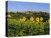 San Gimignano and Field of Sunflowers, Tuscany, Italy-Bruno Morandi-Stretched Canvas