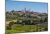 San Gimignano, Siena Province, Tuscany, Italy. Fields surrounding the medieval town famous for i...-null-Mounted Photographic Print