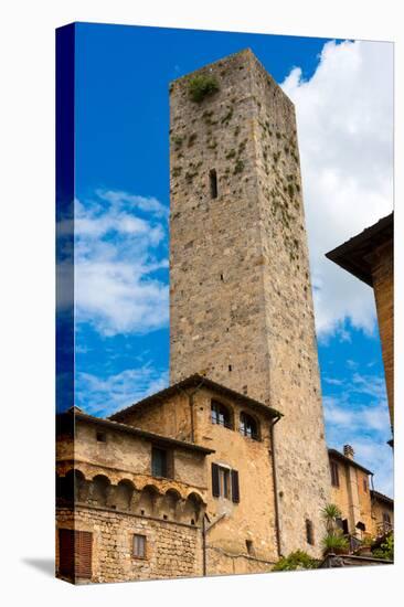 San Gimignano - Siena Tuscany Italy-Alberto SevenOnSeven-Stretched Canvas