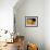 San Gimignano, Tuscany, 2000-Eithne Donne-Framed Giclee Print displayed on a wall