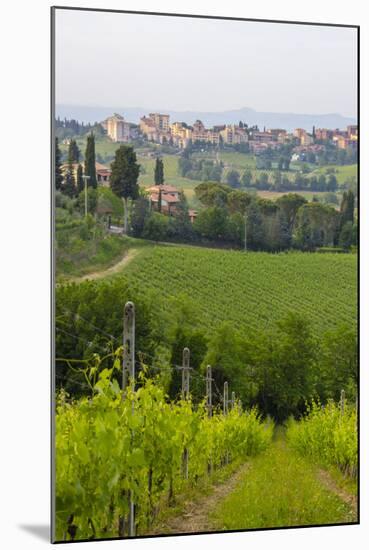 San Gimignano. Tuscany, Italy-Tom Norring-Mounted Photographic Print