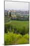 San Gimignano. Tuscany, Italy-Tom Norring-Mounted Photographic Print