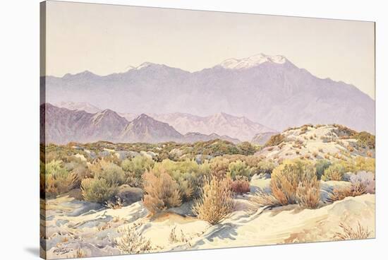 San Jacinto-Gunnar Widforss-Stretched Canvas