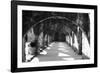 San Jose 2-John Gusky-Framed Photographic Print