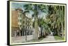 San Jose, California - North 1st Street View of St. James Hotel and Park-Lantern Press-Framed Stretched Canvas