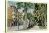 San Jose, California - North 1st Street View of St. James Hotel and Park-Lantern Press-Stretched Canvas