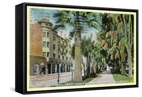 San Jose, California - North 1st Street View of St. James Hotel and Park-Lantern Press-Framed Stretched Canvas