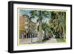 San Jose, California - North 1st Street View of St. James Hotel and Park-Lantern Press-Framed Art Print