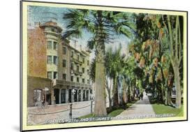 San Jose, California - North 1st Street View of St. James Hotel and Park-Lantern Press-Mounted Art Print