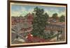 San Jose, California - View of Winchester Mystery House-Lantern Press-Framed Art Print