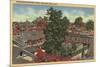 San Jose, California - View of Winchester Mystery House-Lantern Press-Mounted Premium Giclee Print