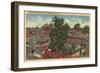 San Jose, California - View of Winchester Mystery House-Lantern Press-Framed Art Print