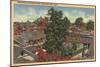 San Jose, California - View of Winchester Mystery House-Lantern Press-Mounted Art Print