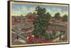 San Jose, California - View of Winchester Mystery House-Lantern Press-Framed Stretched Canvas