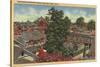 San Jose, California - View of Winchester Mystery House-Lantern Press-Stretched Canvas