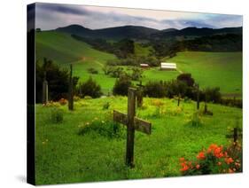 San Juan Batista Graveyard-Jody Miller-Stretched Canvas