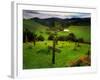 San Juan Batista Graveyard-Jody Miller-Framed Photographic Print