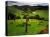 San Juan Batista Graveyard-Jody Miller-Stretched Canvas