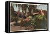 San Juan Capistrano, CA - View of the Front Mission Garden-Lantern Press-Framed Stretched Canvas