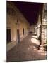 San Juan Capistrano Gardens, Home of the Swallows Mission, California, USA-Bill Bachmann-Mounted Photographic Print