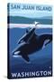 San Juan Island, Washington - Orca and Calf-Lantern Press-Stretched Canvas