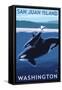 San Juan Island, Washington - Orca and Calf-Lantern Press-Framed Stretched Canvas