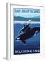 San Juan Island, Washington - Orca and Calf-Lantern Press-Framed Art Print